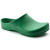 Buy BIRKENSTOCK Classic Birki Green